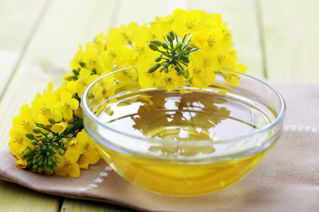 bowl of edible olive oil - food and drink